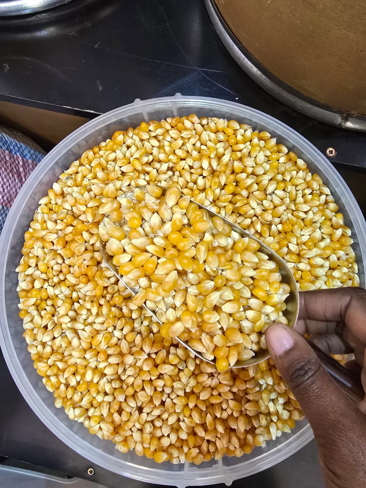 Popcorn Kernels