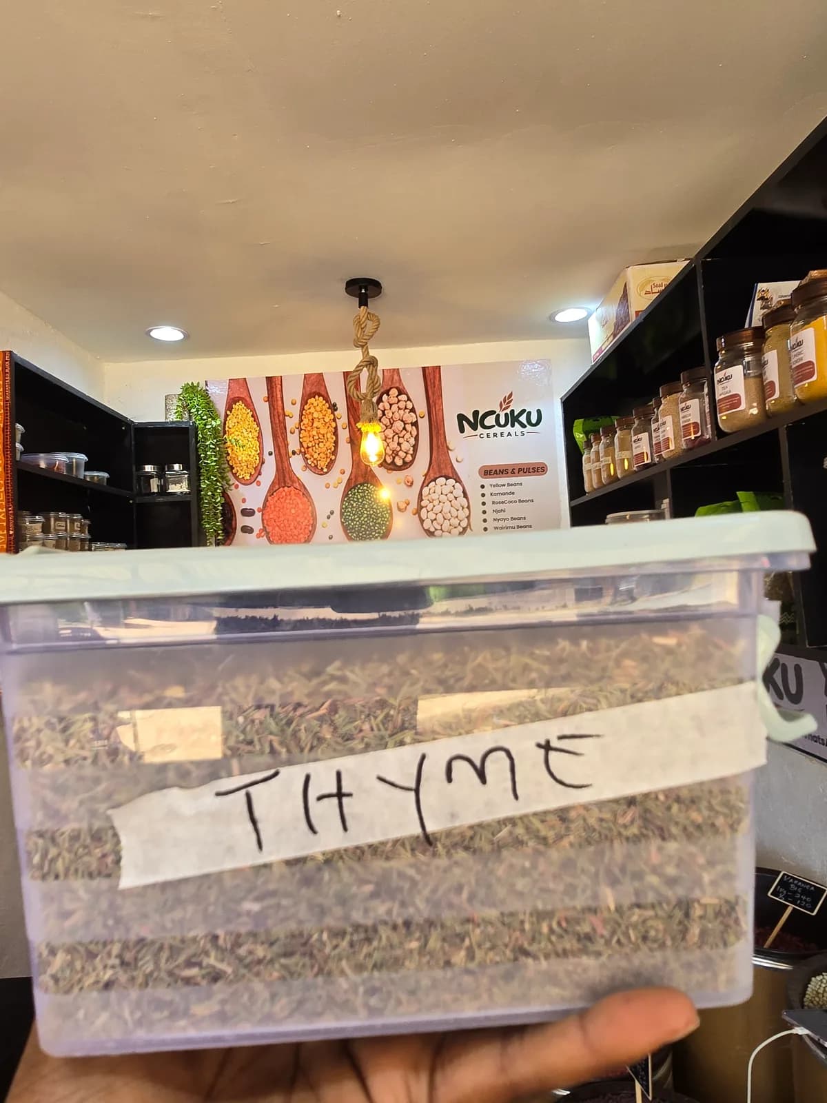 Thyme